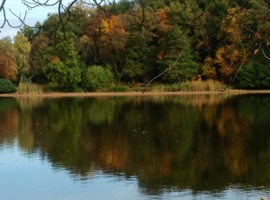 Autumn splendor reflected in the moat surrounding the Moritzburg Castle, Dresden