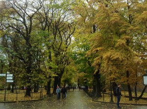 A beautiful park in Krakow's Old Town by the Barbican - October 2013