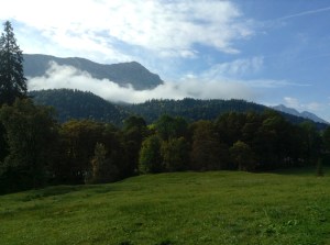 Scene from a train in Germany