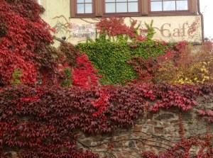 The city of Meissen, Germany, is awash in the brilliance of autumn colors. October 9, 2013