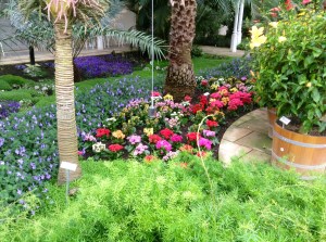 Another garden view in the Pillnitz palace complex
