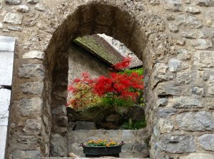 Inside courtyard at the Chateau de Chillon