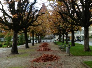 Lausanne, Switzerland - November 6, 2013