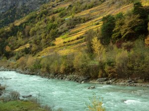 View on Glacier Express