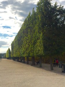 The gardens of the Schönbrunn Palace