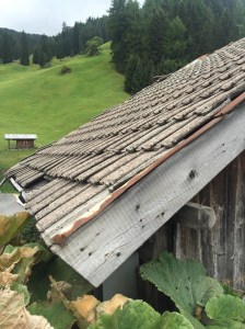 A scene in the Dolomites