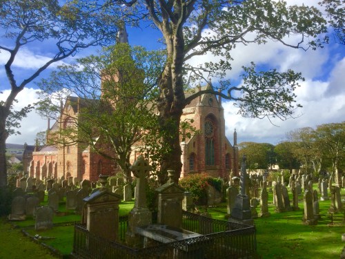 AD8EF96F-FF2A-4E5D-8FC3-198D02DF2D23