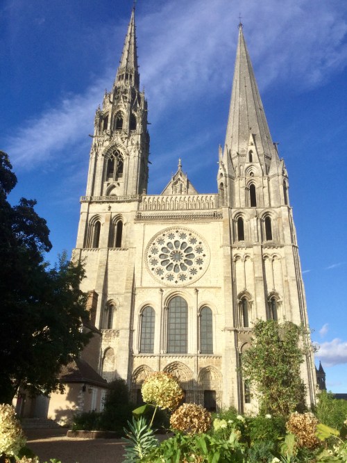 B5C5F594-D604-418F-98A8-785649BAFECC