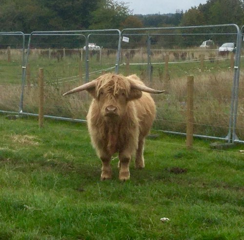 FDA85111-6AE1-4986-B46C-C6766BD76D46